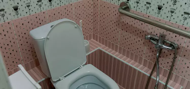 Meeting Diverse Needs With Accessible Restroom Solutions in Michigan City, IN